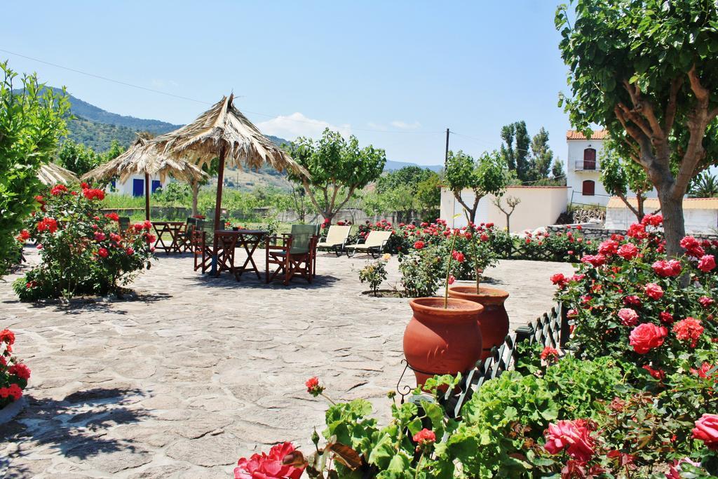 Villa Vicky Petra  Dış mekan fotoğraf